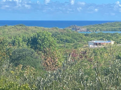 Terrain constructible - 1 835 m²