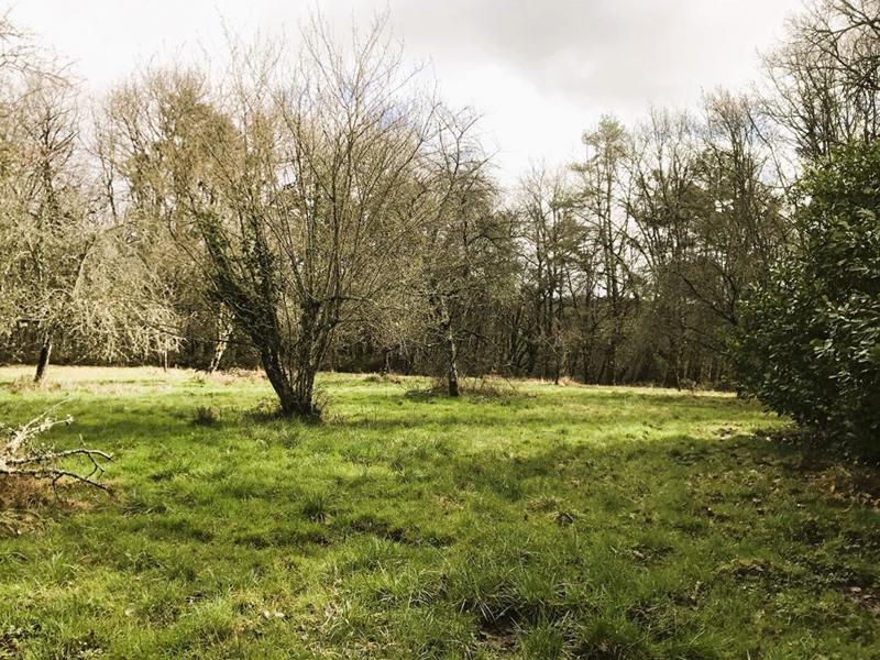 Corps de ferme - 175 m²