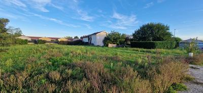 Terrain constructible - 1 052 m²