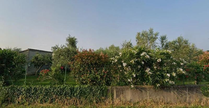 Terrain constructible - 409 m²