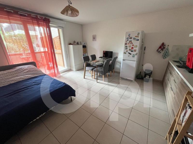 Studio - 31 m² - 1 pièce