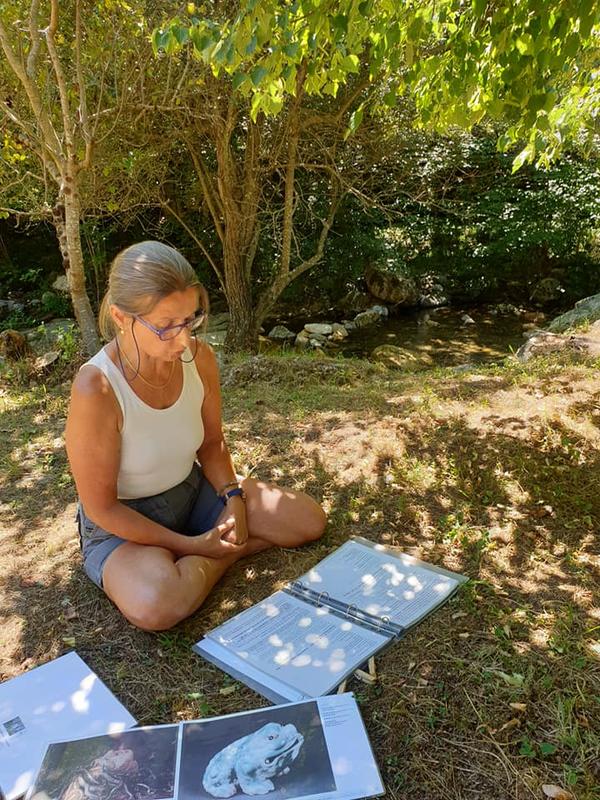 Le pont et les ponts • Atelier d'écriture déambulant