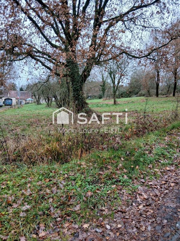 Maison - 147 m² - 4 pièces