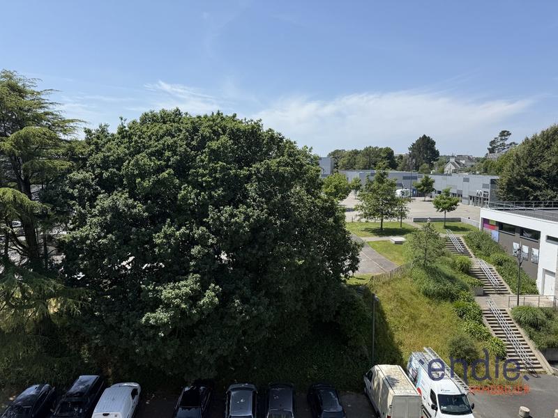 Appartement - 50 m² - 3 pièces