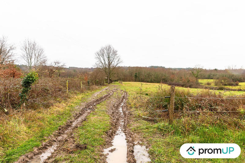 Terrain agricole - 50 040 m²