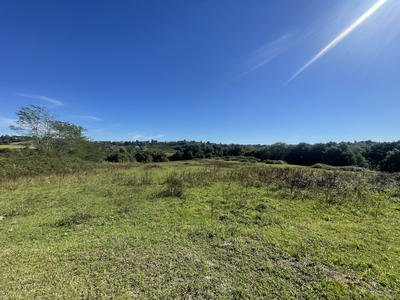 Maison - 477 m² - 15 pièces