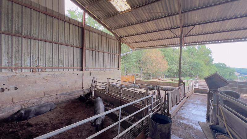 Propriété - 100 m² - 5 pièces