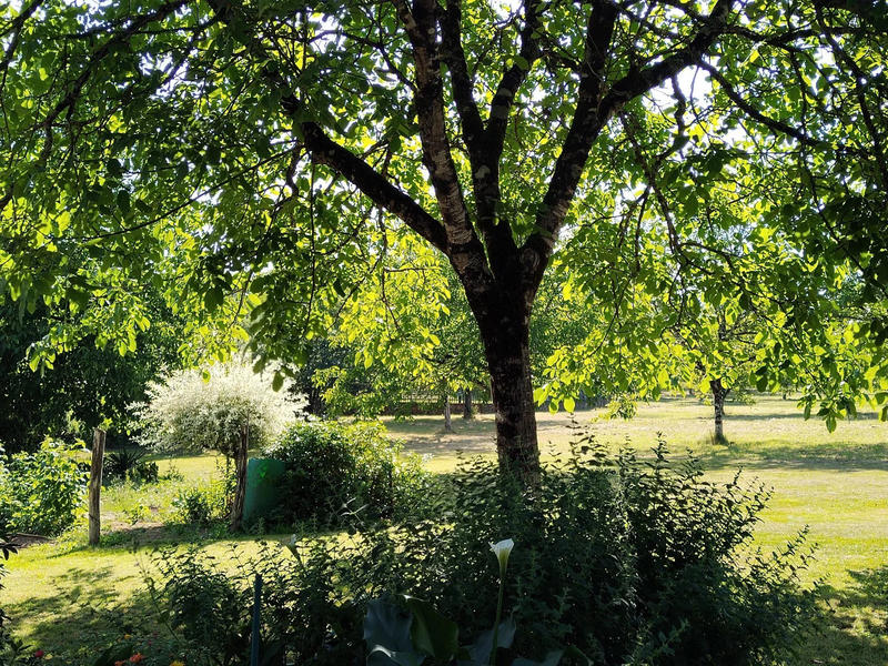 Maison ancienne - 71 m² - 2 pièces