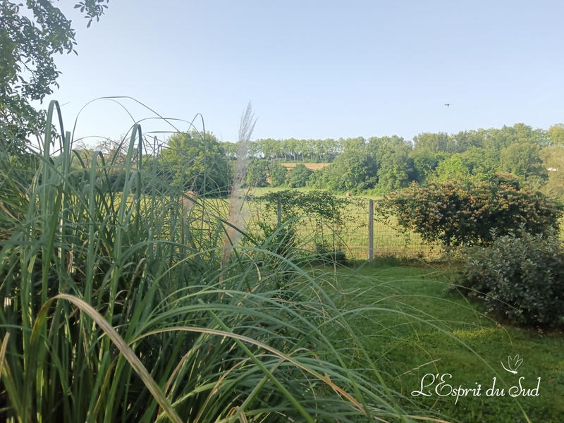 Maison ancienne - 250 m² - 6 pièces