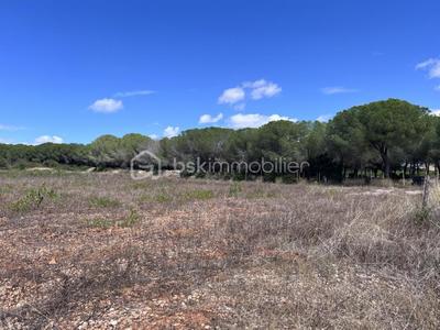 Terrain de loisirs - 161 250 m²