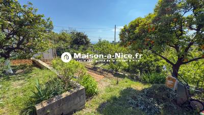 Viager - Maison - 174 m² - 6 pièces