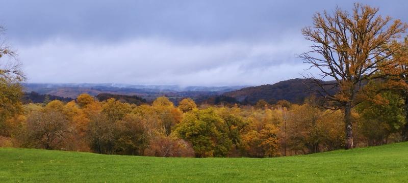 Maison - 120 m² - 1 pièce