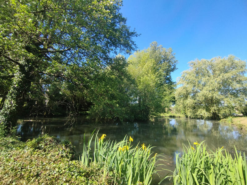 Maison - 234 m² - 8 pièces