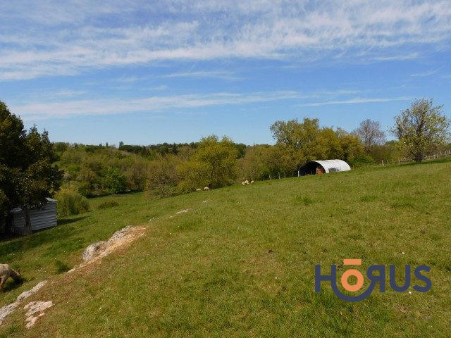 Viager - Maison - 108 m² - 5 pièces