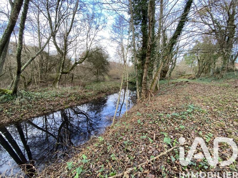 Maison de ville - 384 m² - 15 pièces