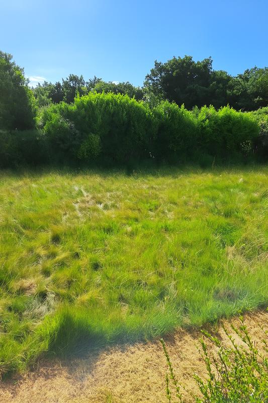 Terrain constructible - 200 m²