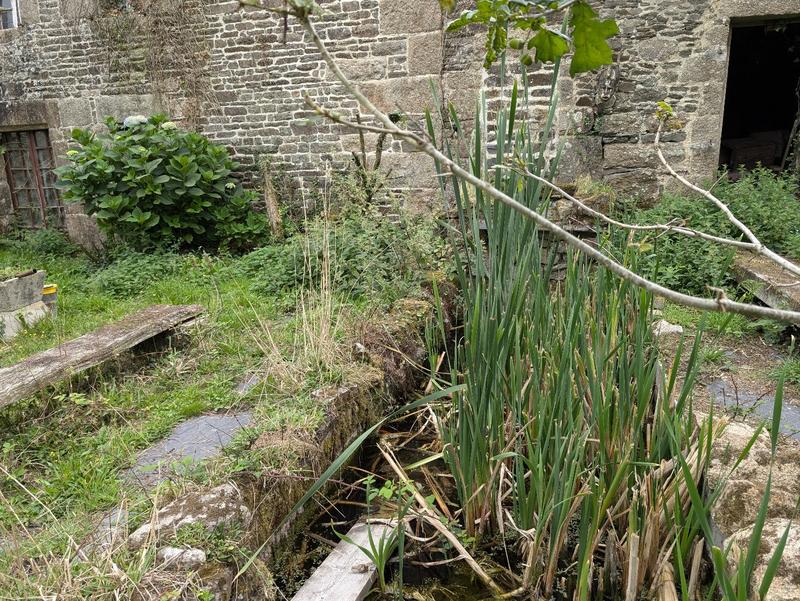 Maison ancienne - 6 pièces