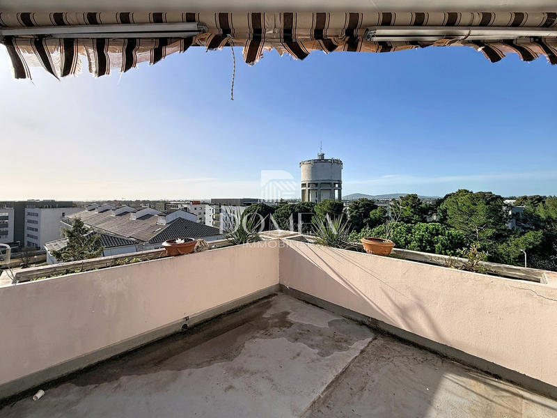 Appartement - 50 m² - 2 pièces