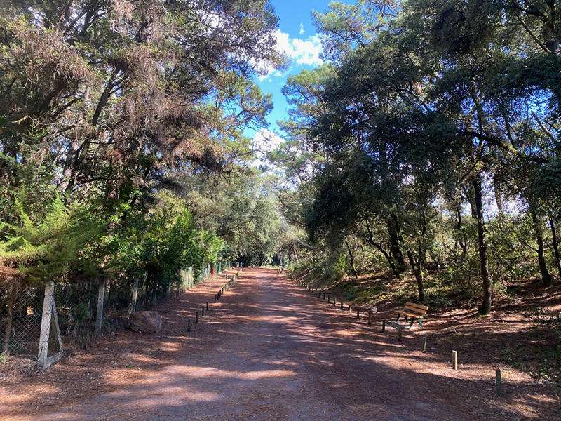 Appartement - 27 m² - 1 pièce