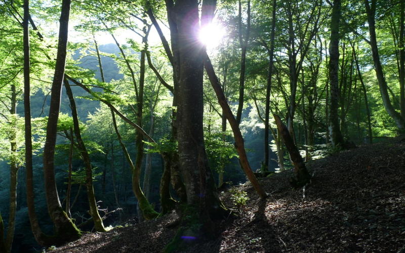 Randonnée accompagnée Mendi Gaiak : rando-pelote sur les collines