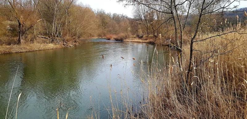 Conférence - la Sarre insolite
