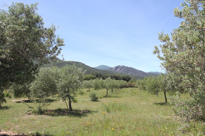 Maison - 227 m² - 6 pièces