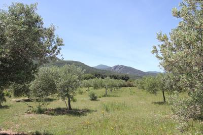 Maison - 227 m² - 6 pièces