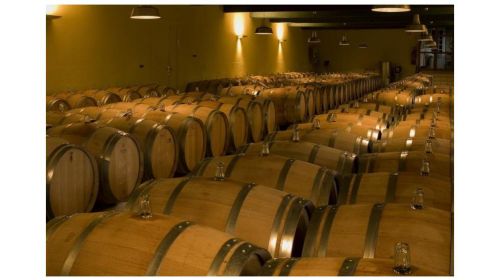 Destination Vignobles et Terroir