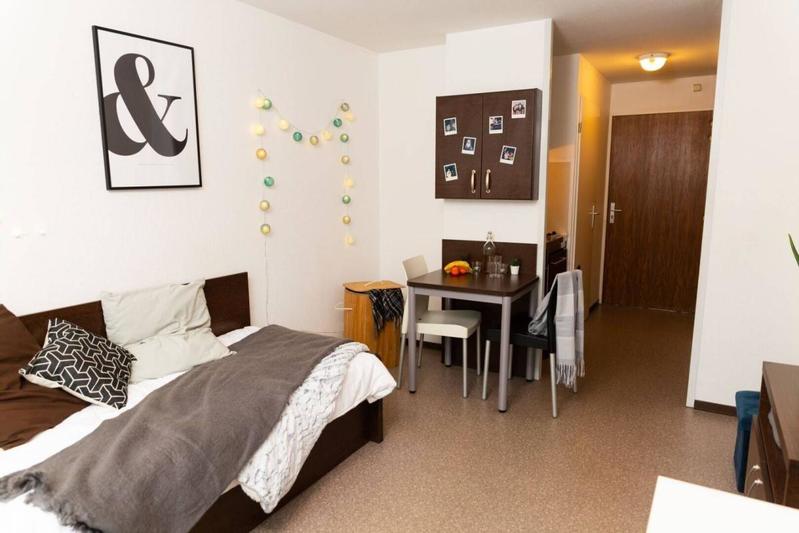 Studio - 19 m² - 1 pièce