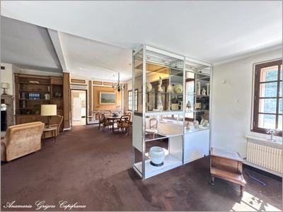 Maison - 393 m² - 11 pièces