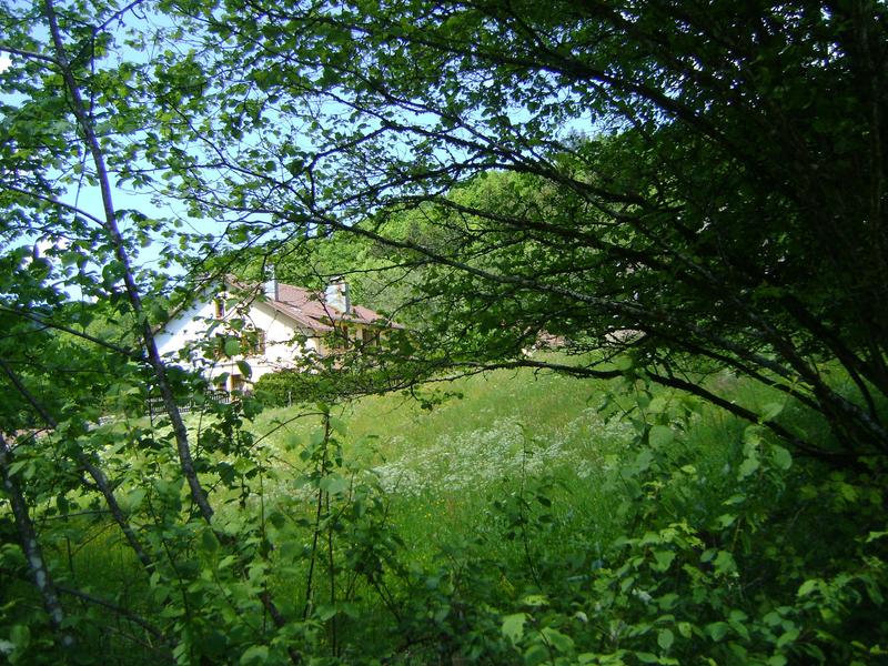 Appartement - 77 m² - 4 pièces