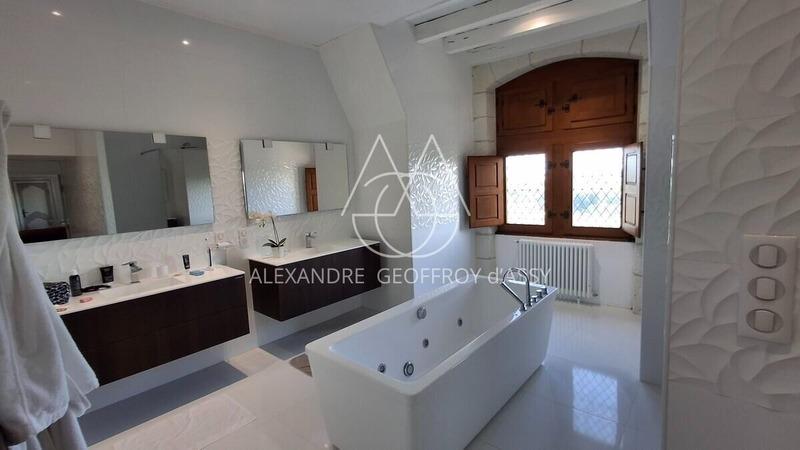 Château - 3 000 m² - 16 pièces