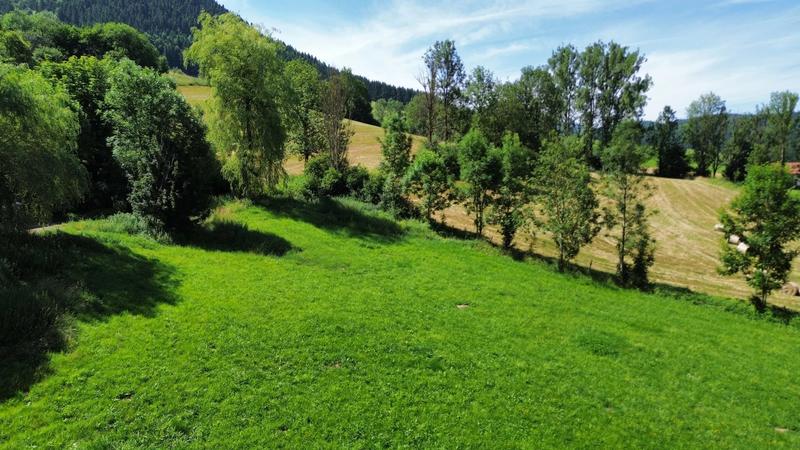 Terrain constructible - 1 981 m²