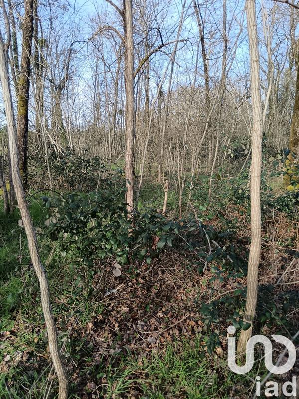 Terrain - 24 045 m²