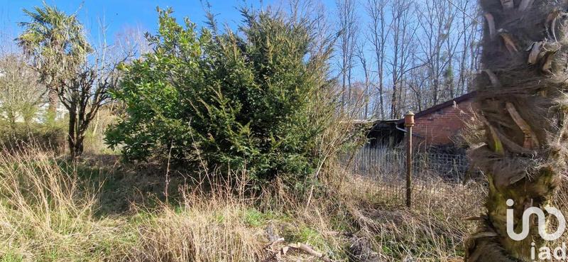 Maison - 75 m² - 5 pièces