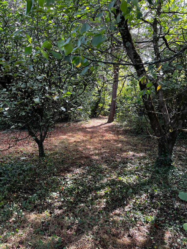 Maison - 165 m² - 7 pièces