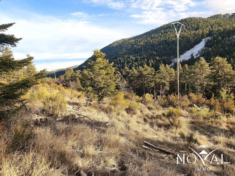 Terrain - 13 495 m²