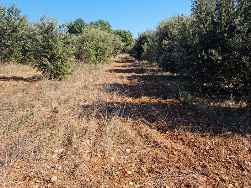 Terrain - 39 000 m²