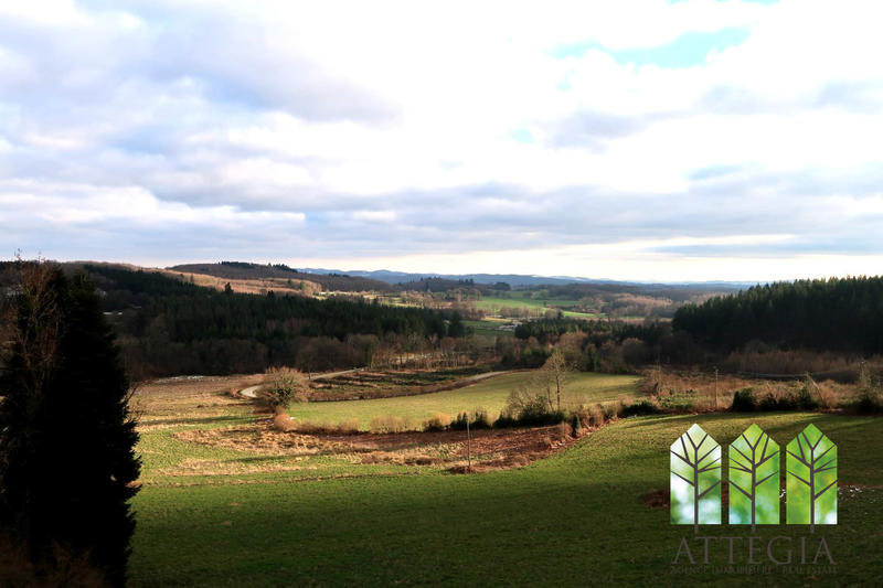 Château - 495 m² - 20 pièces