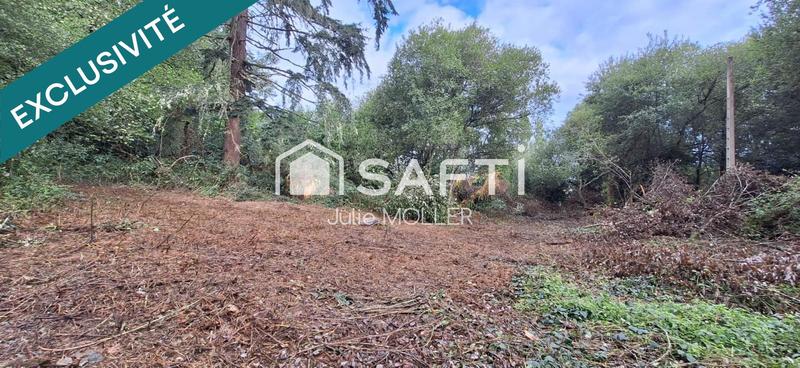 Terrain - 25 303 m²