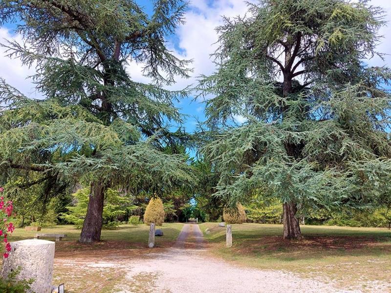 Demeure - 920 m² - 12 pièces