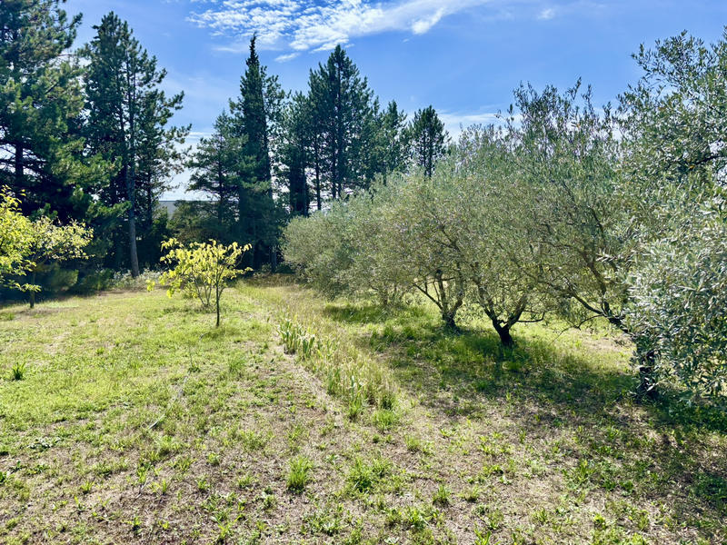 Mas - 269 m² - 10 pièces