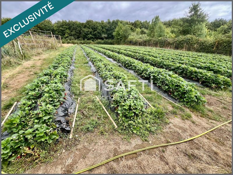 Maison - 153 m² - 6 pièces