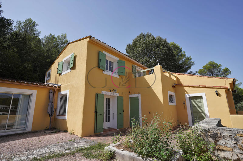 Villa - 235 m² - 9 pièces