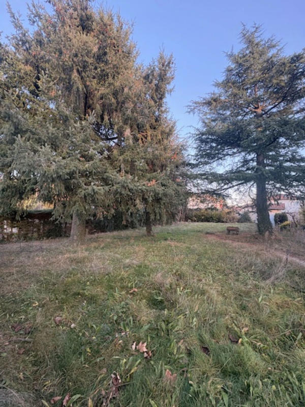 Terrain - 730 m²