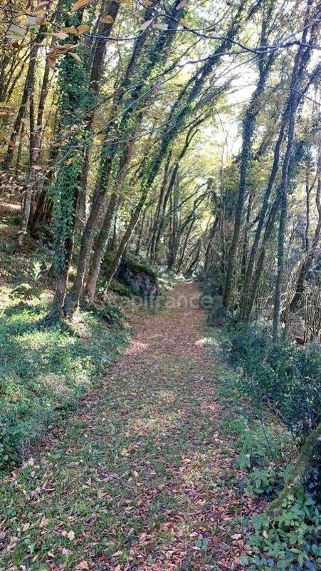 Maison - 250 m² - 10 pièces