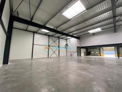 Local d'activité / Entrepôt - 187 m²