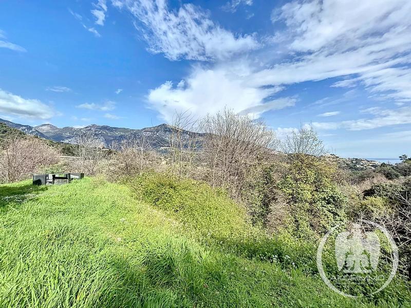 Villa - 300 m² - 8 pièces