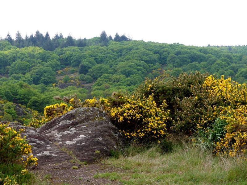 Balade Contée dans le Val sans Retour en Brocéliande