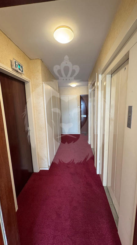 Appartement - 19 m² - 1 pièce